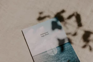 Ziggy Alberts Brainwaves book.