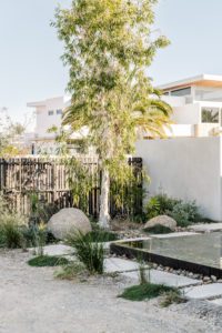 Eco garden design.