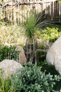 Eco garden design.