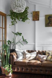 A leather lounge sits in a sun room, surrounded by plants and cushions with vintage artwork adorning the walls.