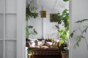 A leather lounge sits in a sun room, surrounded by plants and cushions with vintage artwork adorning the walls.